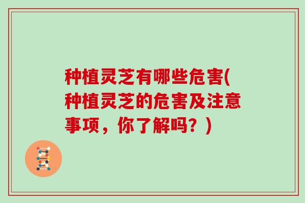 种植灵芝有哪些危害(种植灵芝的危害及注意事项，你了解吗？)