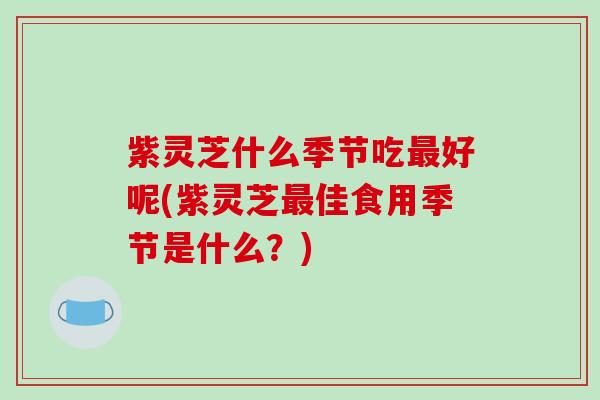 紫灵芝什么季节吃最好呢(紫灵芝最佳食用季节是什么?)