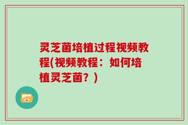 灵芝菌培植过程视频教程(视频教程：如何培植灵芝菌？)