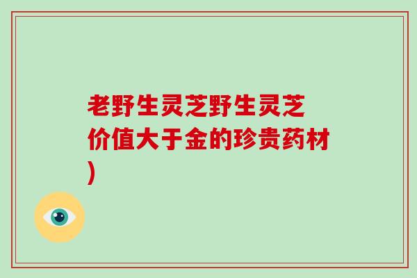 老野生灵芝野生灵芝 价值大于金的珍贵药材)