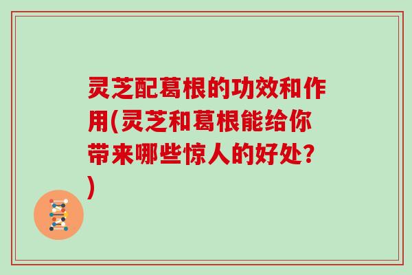 灵芝配葛根的功效和作用(灵芝和葛根能给你带来哪些惊人的好处?)