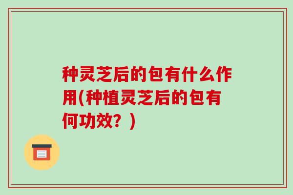 种灵芝后的包有什么作用(种植灵芝后的包有何功效?)