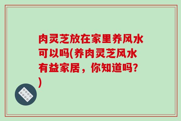 肉灵芝放在家里养风水可以吗(养肉灵芝风水有益家居,你知道吗?)
