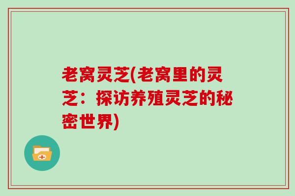 老窝灵芝(老窝里的灵芝:探访养殖灵芝的秘密世界)