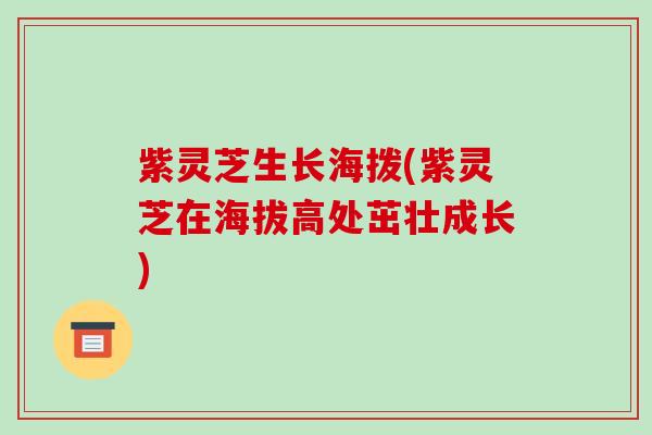 紫灵芝生长海拨(紫灵芝在海拔高处茁壮成长)