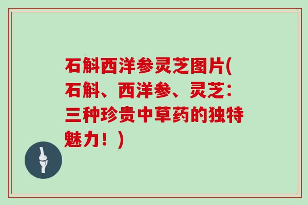 石斛西洋参灵芝图片(石斛、西洋参、灵芝：三种珍贵中草药的独特魅力！)
