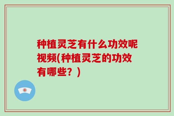 种植灵芝有什么功效呢视频(种植灵芝的功效有哪些？)