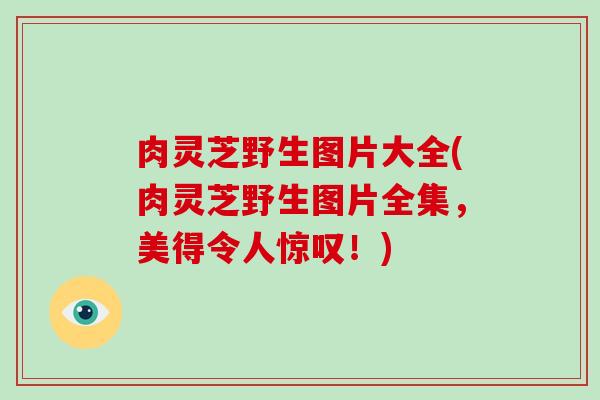 肉灵芝野生图片大全(肉灵芝野生图片全集，美得令人惊叹！)