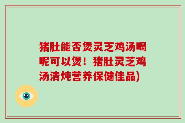 猪肚能否煲灵芝鸡汤喝呢可以煲!猪肚灵芝鸡汤清炖营养保健佳品)