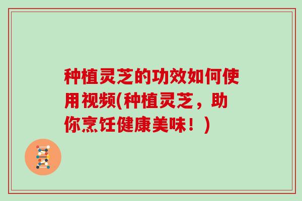 种植灵芝的功效如何使用视频(种植灵芝,助你烹饪健康美味!)