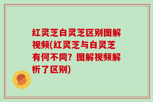 红灵芝白灵芝区别图解视频(红灵芝与白灵芝有何不同?图解视频解析了区别)