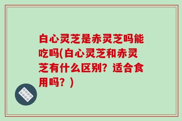 白心灵芝是赤灵芝吗能吃吗(白心灵芝和赤灵芝有什么区别?适合食用吗?)