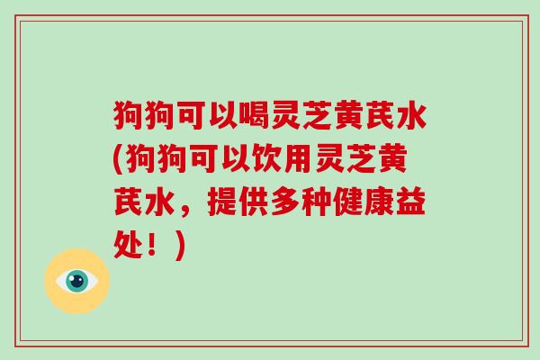 狗狗可以喝灵芝黄芪水(狗狗可以饮用灵芝黄芪水,提供多种健康益处!)