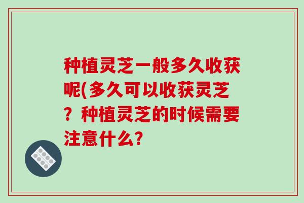 种植灵芝一般多久收获呢(多久可以收获灵芝?种植灵芝的时候需要注意什么?