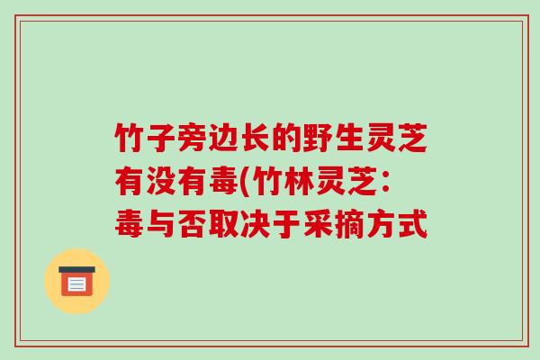 竹子旁边长的野生灵芝有没有毒(竹林灵芝:毒与否取决于采摘方式