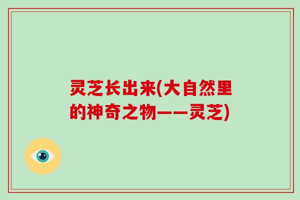 灵芝长出来(大自然里的神奇之物——灵芝)