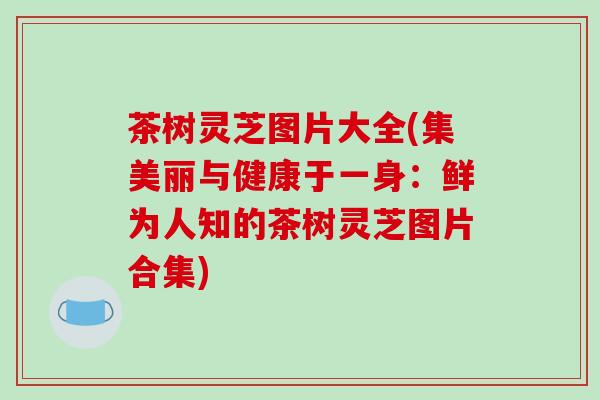 茶树灵芝图片大全(集美丽与健康于一身:鲜为人知的茶树灵芝图片合集)