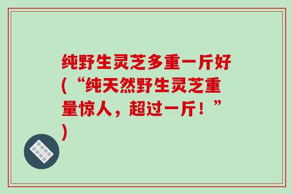 纯野生灵芝多重一斤好(“纯天然野生灵芝重量惊人，超过一斤！”)