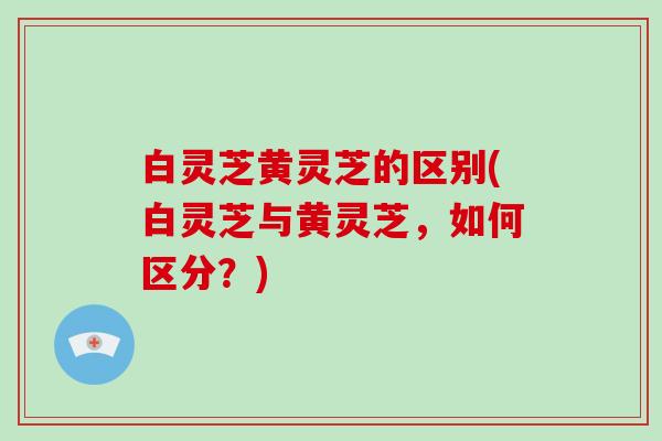 白灵芝黄灵芝的区别(白灵芝与黄灵芝,如何区分?)