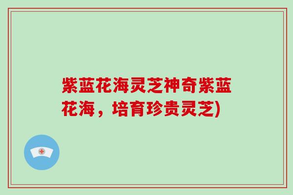 紫蓝花海灵芝神奇紫蓝花海,培育珍贵灵芝)