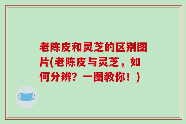 老陈皮和灵芝的区别图片(老陈皮与灵芝,如何分辨?一图教你!)