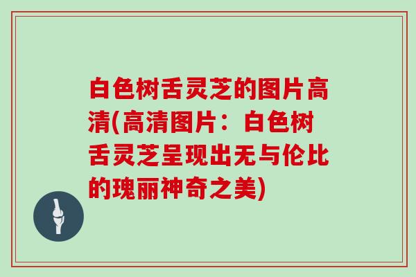 白色树舌灵芝的图片高清(高清图片:白色树舌灵芝呈现出无与伦比的瑰丽神奇之美)