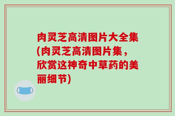 肉灵芝高清图片大全集(肉灵芝高清图片集,欣赏这神奇中草药的美丽细节)