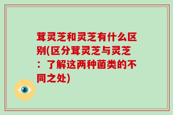 茸灵芝和灵芝有什么区别(区分茸灵芝与灵芝:了解这两种菌类的不同之处)
