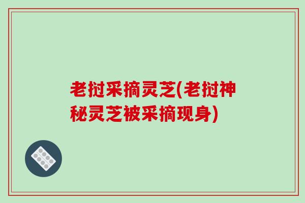 老挝采摘灵芝(老挝神秘灵芝被采摘现身)