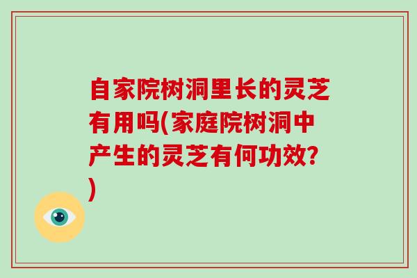 自家院树洞里长的灵芝有用吗(家庭院树洞中产生的灵芝有何功效?)