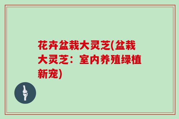 花卉盆栽大灵芝(盆栽大灵芝：室内养殖绿植新宠)