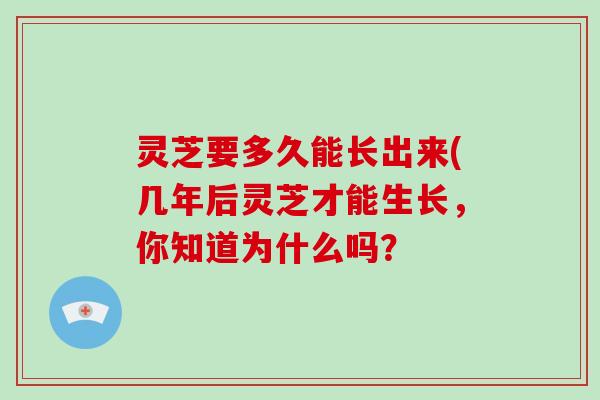 灵芝要多久能长出来(几年后灵芝才能生长，你知道为什么吗？