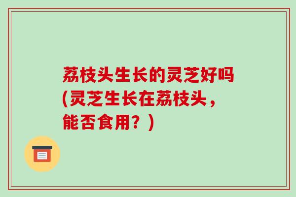 荔枝头生长的灵芝好吗(灵芝生长在荔枝头，能否食用？)