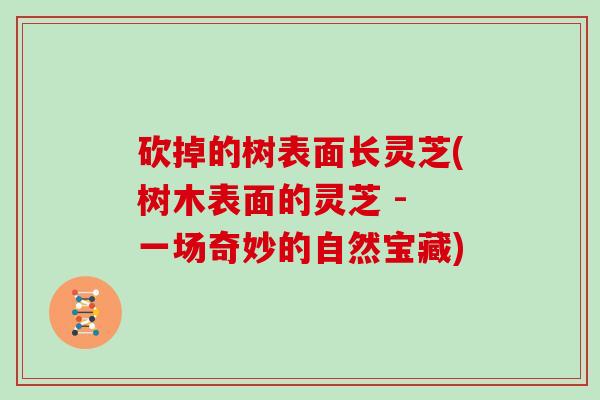砍掉的树表面长灵芝(树木表面的灵芝 - 一场奇妙的自然宝藏)