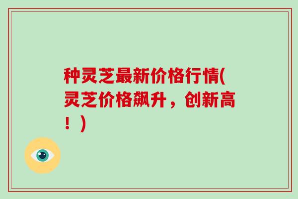 种灵芝最新价格行情(灵芝价格飙升，创新高！)
