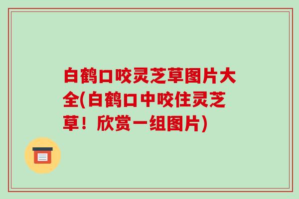 白鹤口咬灵芝草图片大全(白鹤口中咬住灵芝草!欣赏一组图片)