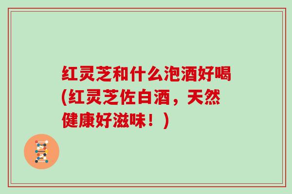 红灵芝和什么泡酒好喝(红灵芝佐白酒,天然健康好滋味!)
