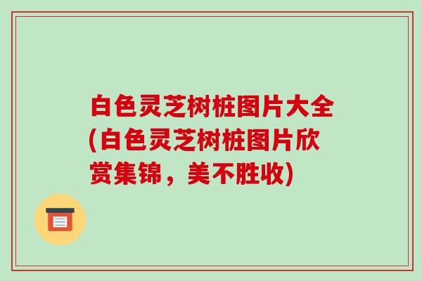 白色灵芝树桩图片大全(白色灵芝树桩图片欣赏集锦,美不胜收)
