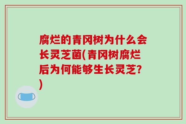 腐烂的青冈树为什么会长灵芝菌(青冈树腐烂后为何能够生长灵芝?)