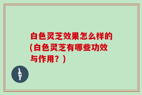 白色灵芝效果怎么样的(白色灵芝有哪些功效与作用？)