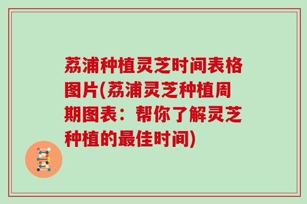 荔浦种植灵芝时间表格图片(荔浦灵芝种植周期图表:帮你了解灵芝种植的最佳时间)