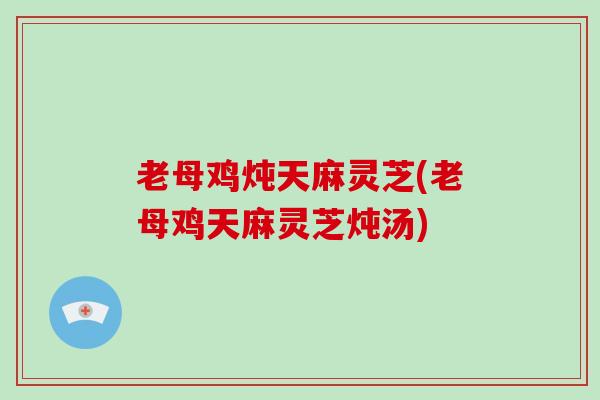 老母鸡炖天麻灵芝(老母鸡天麻灵芝炖汤)