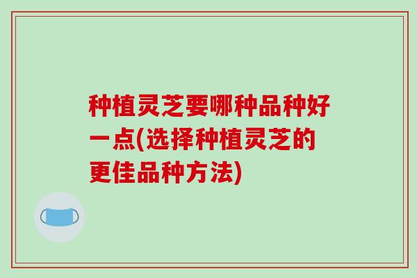 种植灵芝要哪种品种好一点(选择种植灵芝的更佳品种方法)