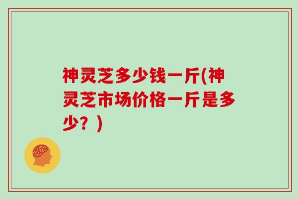 神灵芝多少钱一斤(神灵芝市场价格一斤是多少？)