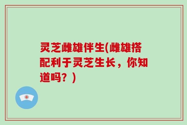 灵芝雌雄伴生(雌雄搭配利于灵芝生长,你知道吗?)