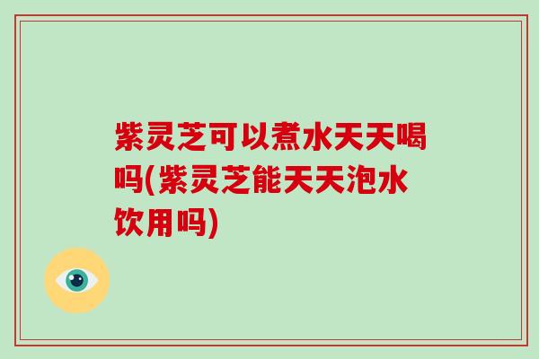 紫灵芝可以煮水天天喝吗(紫灵芝能天天泡水饮用吗)