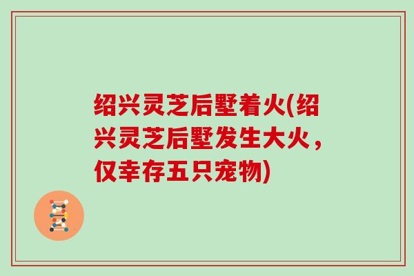 绍兴灵芝后墅着火(绍兴灵芝后墅发生大火，仅幸存五只宠物)