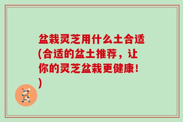 盆栽灵芝用什么土合适(合适的盆土推荐,让你的灵芝盆栽更健康!)