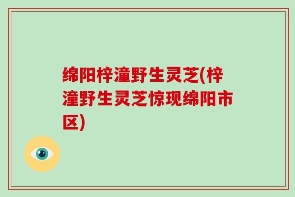 绵阳梓潼野生灵芝(梓潼野生灵芝惊现绵阳市区)