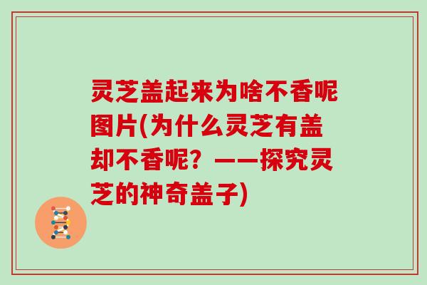 灵芝盖起来为啥不香呢图片(为什么灵芝有盖却不香呢?——探究灵芝的神奇盖子)